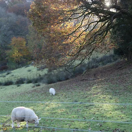 Rock - Log Burners And Jacuzzi Bath * Lindale