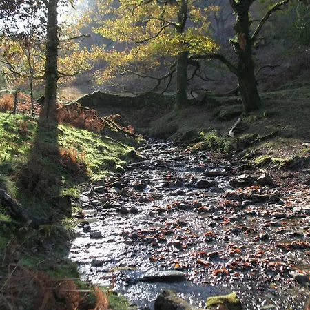 Rock - Log Burners And Jacuzzi Bath